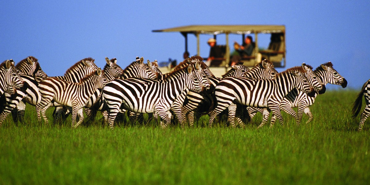 Safari in the Serengeti